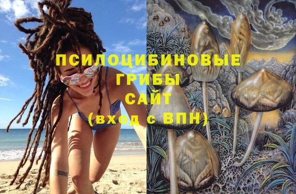 хмурый Абинск