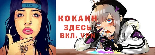 spice Алексин