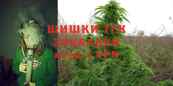 таблы Гусев