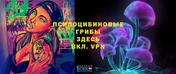 амф Заводоуковск