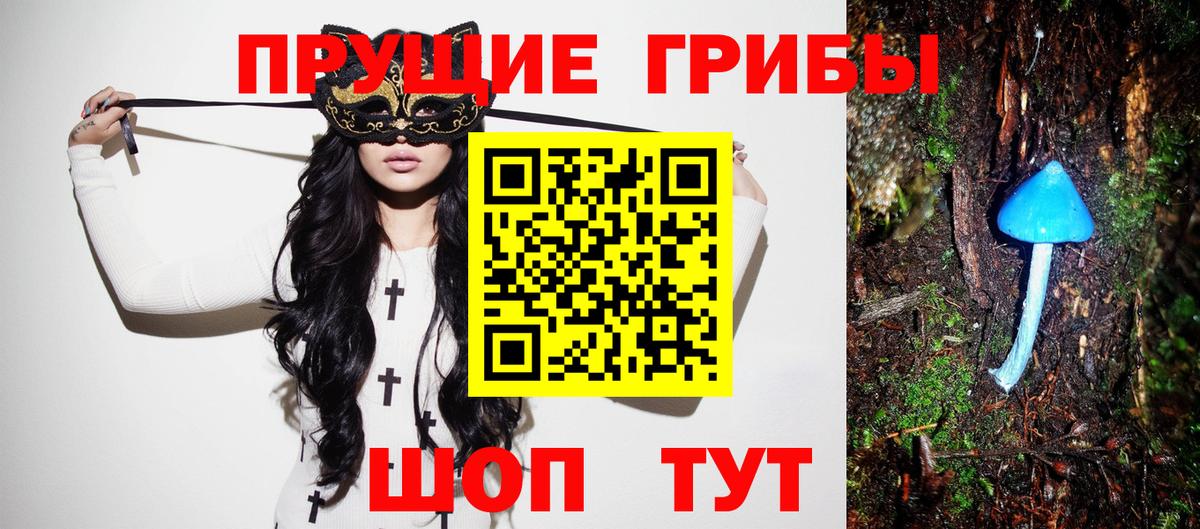 Псилоцибиновые грибы Cubensis  Вход с VPN  Троицк 